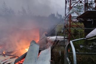 KKB Membakar Tower Telkomsel dan Rumah Warga di Puncak Papua - JPNN.com Papua