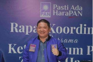 Politikus PAN Ajak Demokrat Bergabung ke Koalisi Indonesia Maju - JPNN.com Papua