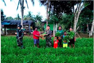 Personel Satgas Yonif Panen Hasil Kebun dan Bagikan Kepada Warga di Perbatasan RI-PNG - JPNN.com Papua