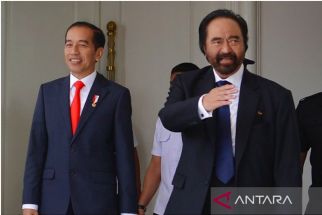 Sekjen NasDem Bantah Pernyataan Istana Soal Surya Paloh Mohon Bertemu Jokowi - JPNN.com Papua