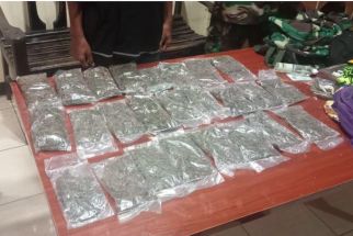 TNI AL Berhasil Amankan Kurir Penyelundupan 600 Gram Ganja di Jayapura - JPNN.com Papua