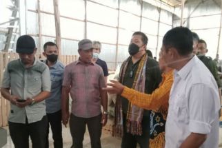 Bangun Pabrik Pakan Ternak Untuk Kembangkan Sektor Pertanian - JPNN.com Sultra