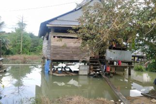 Tanggul di Konawe Jebol, Puluhan Rumah dan Sawah Terendam Banjir - JPNN.com Sultra