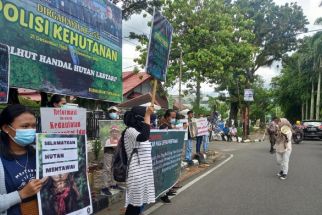 Selamatkan Hutan Mentawai, KPHM Kembali Gelar Aksi - JPNN.com Sumbar