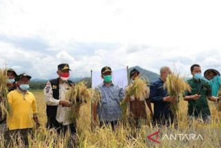 Produk Pertanian Pesisir Selatan Bakal Punya Nilai Tambah - JPNN.com Sumbar