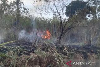 Kebakaran Lahan di Tilatang Kamang, Api Nyaris Melahap Pemukiman Warga - JPNN.com Sumbar