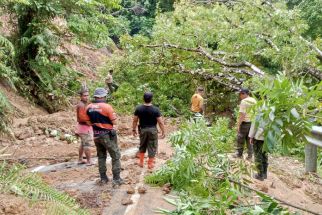 Longsor Timbun Jalan Menuju Mandeh, Pengendara Terpaksa Putar Arah - JPNN.com Sumbar