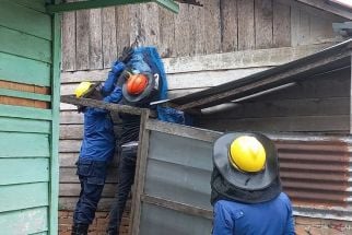 Sarang Lebah Madu Berukuran Besar Dievakuasi Petugas Damkar Kota Bukittinggi - JPNN.com Sumbar