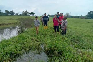 Penyebab Banjir di BPTU-HPT Padang Mangatas Bukan karena Pagar Beton - JPNN.com Sumbar