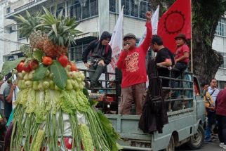 Petani di Sumut Kecewa, Sebut Jokowi-Ma'ruf Tak Sanggup Selesaikan Konflik Agraria: Ini Lip Service - JPNN.com Sumut