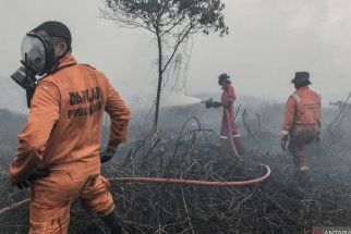 BMKG Imbau Sejumlah Wilayah di Sumatera Waspadai Kebakaran Hutan, Termasuk Sumut - JPNN.com Sumut