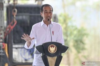 Presiden Jokowi Meyakini Pembangunan IKN Tetap Berlanjut Siapa Pun Pemimpinnya - JPNN.com Sumut