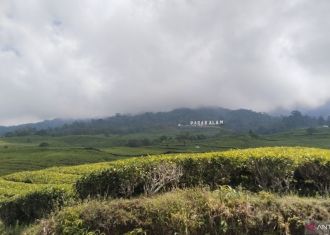 Diduga Hipotermia, Pendaki Asal Bengkulu Meninggal di Puncak Gunung Dempo