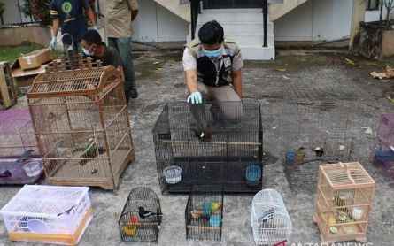 Ratusan Burung Impor Asal Wabah Flu Ganas Tiba di Bandara Kualanamu, Balai Karantina Turun Tangan - JPNN.com Sumut