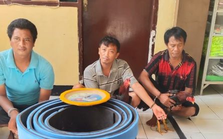 Pabrik Jadi Gelanggang Ayam, Tiga Ekor Jago Tak Luput Disita Pak Polisi - JPNN.com Jatim