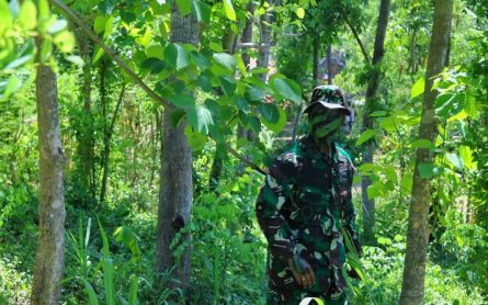 Prajurit TNI Sergap Musuh di Hutan Pulaki Bali, Lihat Aksinya - JPNN.com Bali