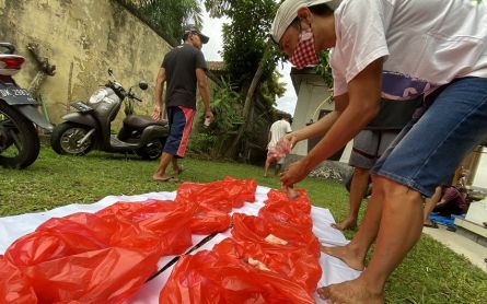 Rayakan Natal, Jemaat Gereja Bali Laksanakan Nampah - JPNN.com Bali