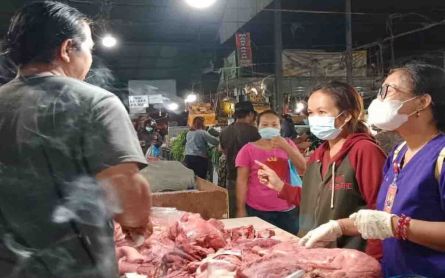 Ini Temuan Distan Denpasar saat Cek Daging Babi Jelang Galungan, Astungkara - JPNN.com Bali