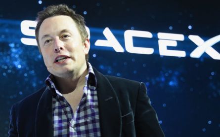 Elon Musk's Wealth Skyrockets, Again - JPNN.com English