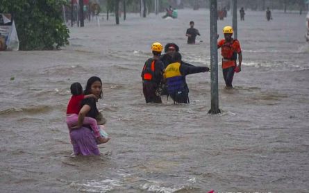 Kalimantan Floods Caused by Damaged Catchments, Jokowi Says - JPNN.com English