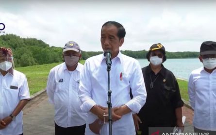 Jokowi to Invite G20 Leaders to Review Mangrove Conservation in Bali - JPNN.com English