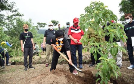 Siti Nurbaya Leads Simultaneous Tree Planting in 34 Provinces - JPNN.com English