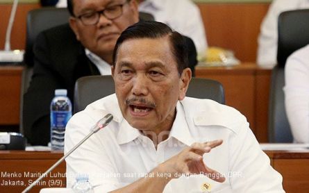 Covid-19 Test No More Required for Domestic Travel: Luhut - JPNN.com English