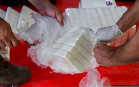 Local Mayor in Africa Transports 200 Kilograms of Cocaine - JPNN.com English
