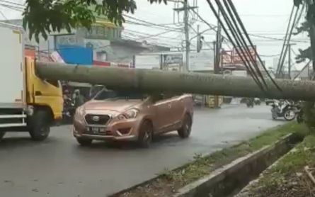 Tree Falls Due to Strong Winds in Pamulang, Injures Four - JPNN.com English