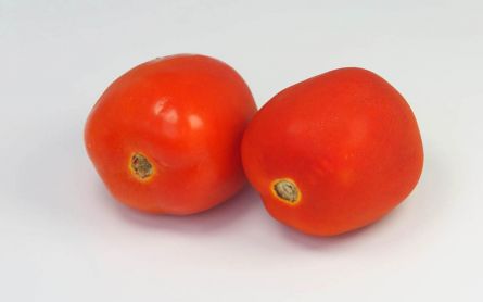 6 Manfaat Tomat untuk Kecantikan Kulit Wajah, Kaum Hawa Pasti Suka! - JPNN.com Jabar