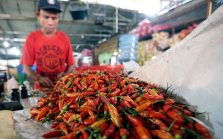 KPPU Beberkan Penyebab Kenaikan Harga Cabai, Bawang Merah dan Daging Ayam di Balikpapan - JPNN.com Kaltim