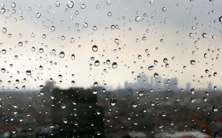 Cuaca Jawa Timur 23 November 2023, Pagi-Malam Gerimis Hingga Hujan Lebat - JPNN.com Jatim