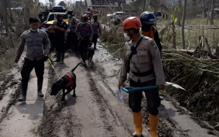 Inilah Panggilan Menggemaskan K-9 Pencari Korban Erupsi Semeru - JPNN.com Jatim