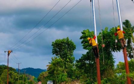 PLN Bangun 18 Gardu untuk Listriki 2.222 Keluarga di Pelosok Sumba pada 2021, Masih Kurang Berapa? - JPNN.com Bali