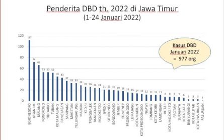 DBD di Jatim Melonjak, Sudah 997 Kasus dengan 17 Orang Meninggal - JPNN.com Jatim