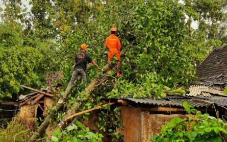 Cerita Kepala Desa tentang Bencana Angin Kencang di Gunungkidul, Menyeramkan - JPNN.com Jogja