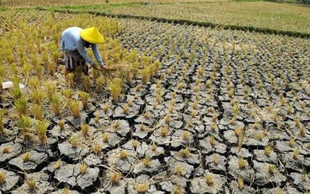 Warga Bantul Siap-Siap Menyambut Musim Kemarau, BMKG Akan Melapor - JPNN.com Jogja