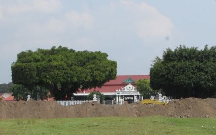 Penuh Makna, Arti Pohon Beringin bagi Keraton Yogyakarta  - JPNN.com Jogja