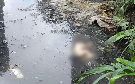 Geger, Warga Jemur Ngawinan Temukan Jasad Bayi Mengapung di Sungai - JPNN.com Jatim