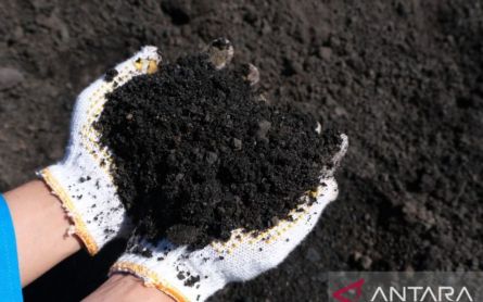 PLN Manfaatkan Sisa Abu Batu Bara Untuk Dukung Pembangunan Infrastuktur - JPNN.com Kalsel