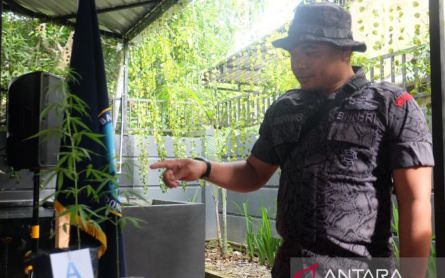 Satu Kilogram Ganja Kiriman dari Medan Disita BNN dan Bea Cukai Balikpapan, Pemiliknya Ternyata - JPNN.com Kaltim