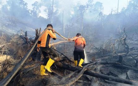 95 Titik Terdeteksi di Wilayah Ini, BMKG Balikpapan Minta Pihak Terkait Segera Menangani - JPNN.com Kaltim