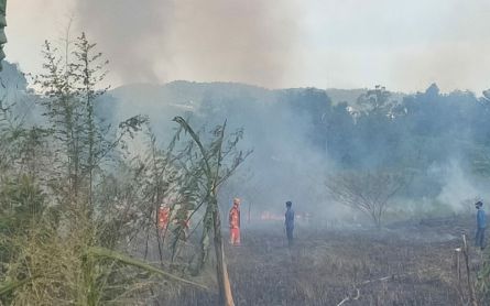 Lahan Hutan Dekat Stadion Sumpah Pemuda Dilalap Si Jago Merah  - JPNN.com Lampung