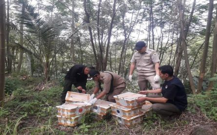 Ratusan Burung Selundupan Akhirnya Dapat Diselamatkan  - JPNN.com Lampung