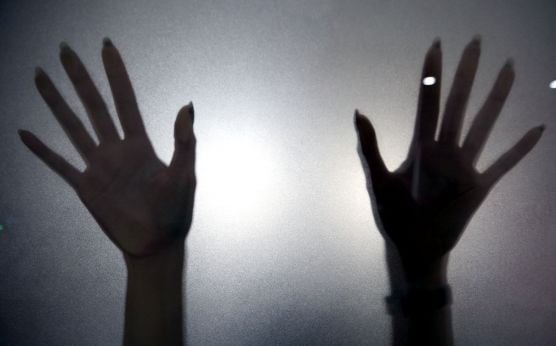 Residivis Pemerkosa Anak di Bawah Umur Kembali Ditangkap Polisi - JPNN.com