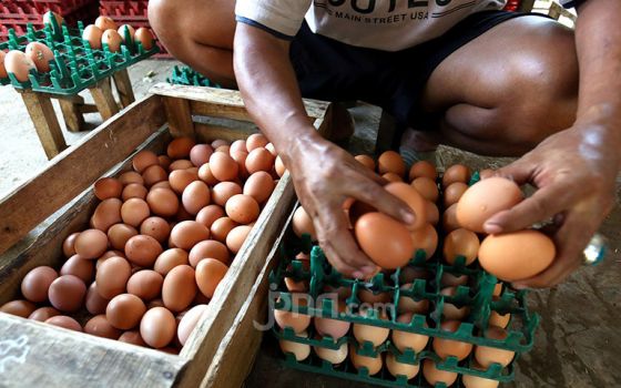 Waduh, Setelah Lebaran Kok Harga Telur Ayam Malah Naik - JPNN.com Jatim