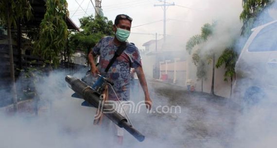 Cegah DBD, Fogging di Kota Medan Digiatkan - JPNN.com