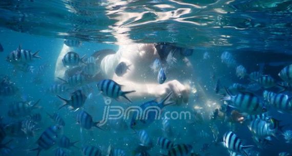 Lihat Nih Keindahan Alam Bawah Laut Pulau Lengkuas Belitung - JPNN.com