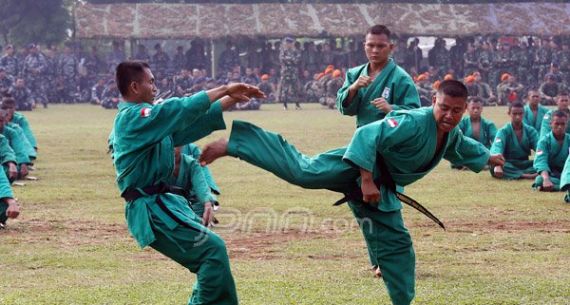 Aksi Bela Diri Meriahkan Apel Gabungan TNI, Polri, Pemprov DKI, Ormas dan Mahasiswa - JPNN.com