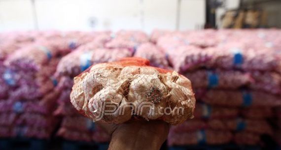 Stok Bawang Putih di Gudang Bulog - JPNN.com